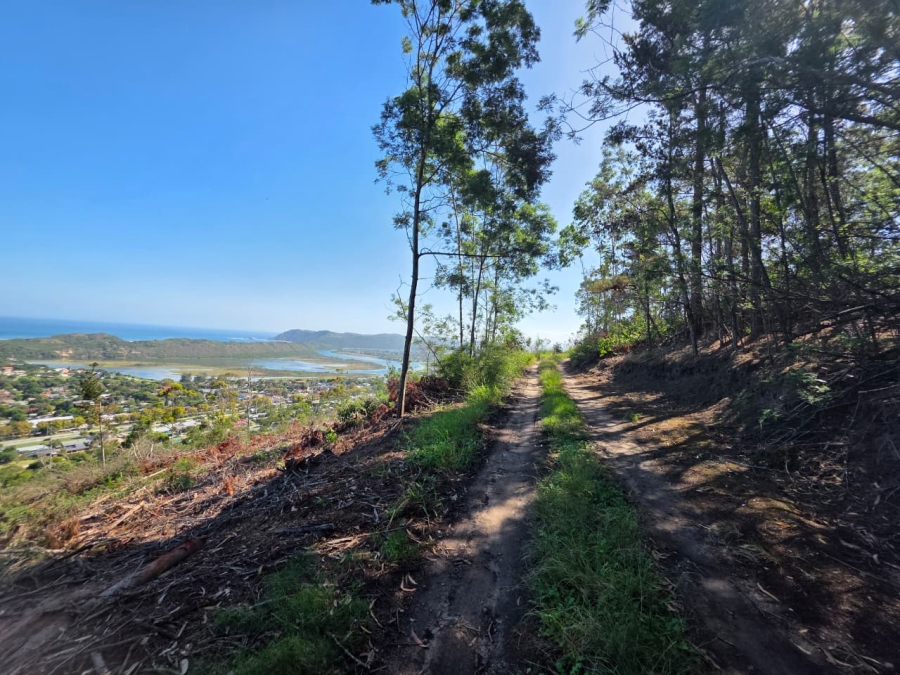 0 Bedroom Property for Sale in Sedgefield Rural Western Cape